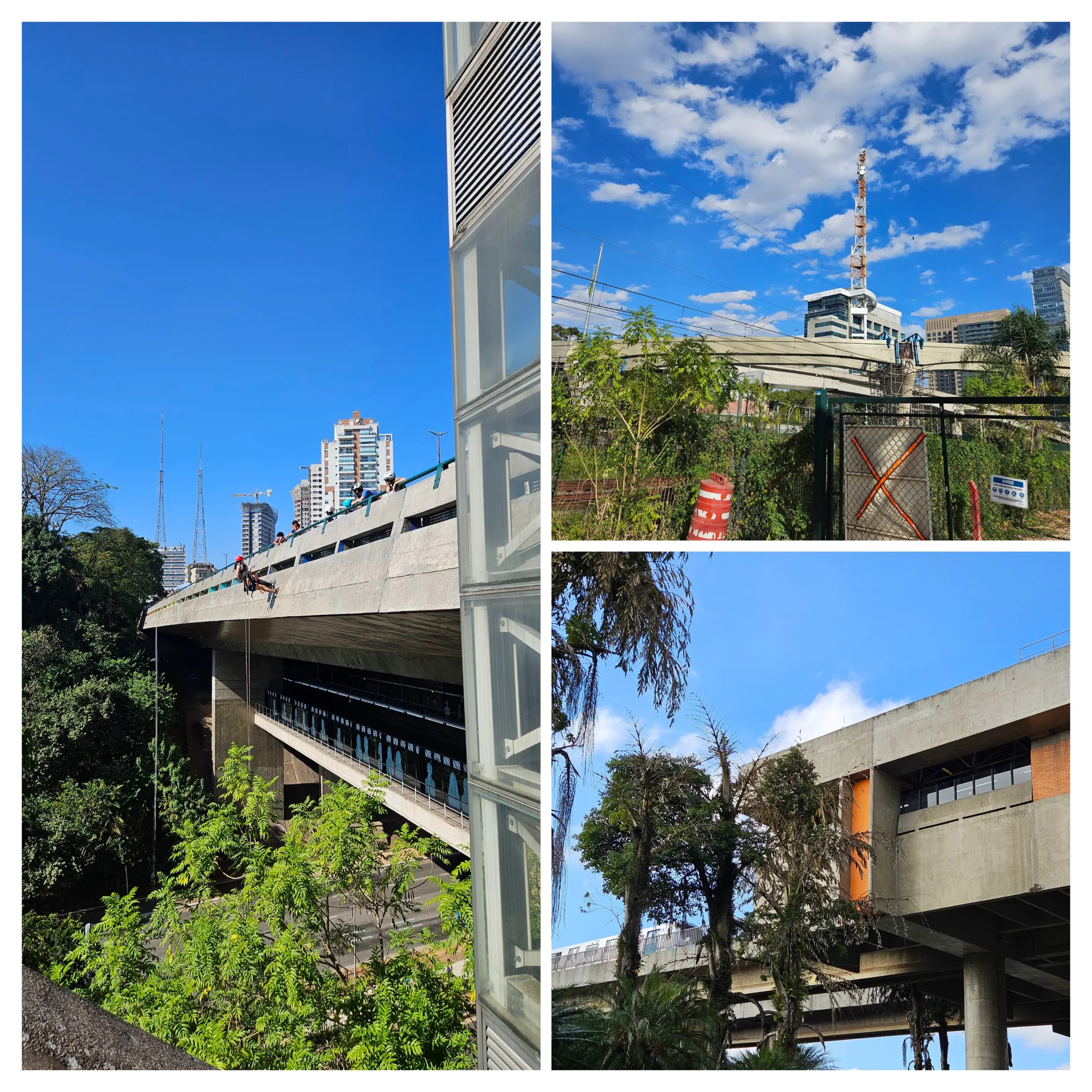 Colagem de fotos de estrutura de concreto urbana com folhas verdes, com cores intensas e processamento artificial.