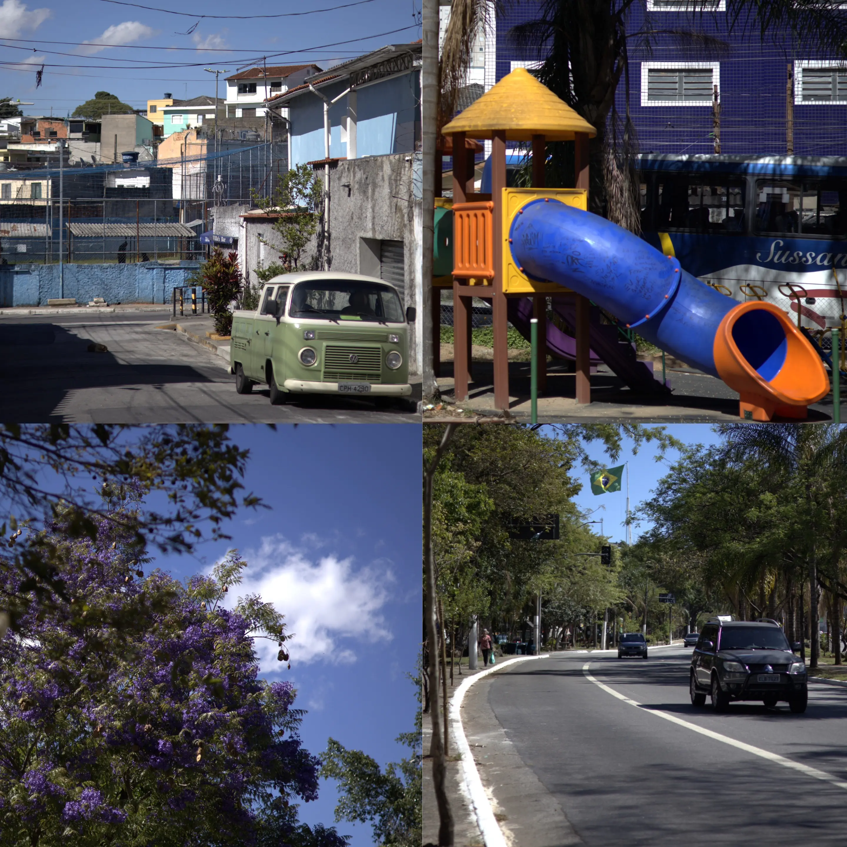 Foto de uma flor roxa com fundo naturalmente desfocado, demonstrando bokeh óptico real e cores fiéis.