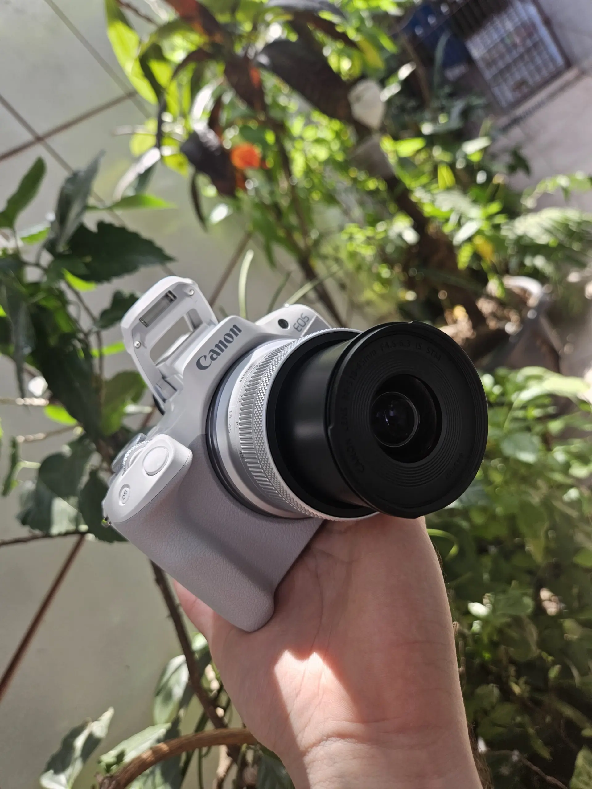 Câmera Canon EOS R50 preta com lente RF montada, sobre superfície de madeira.